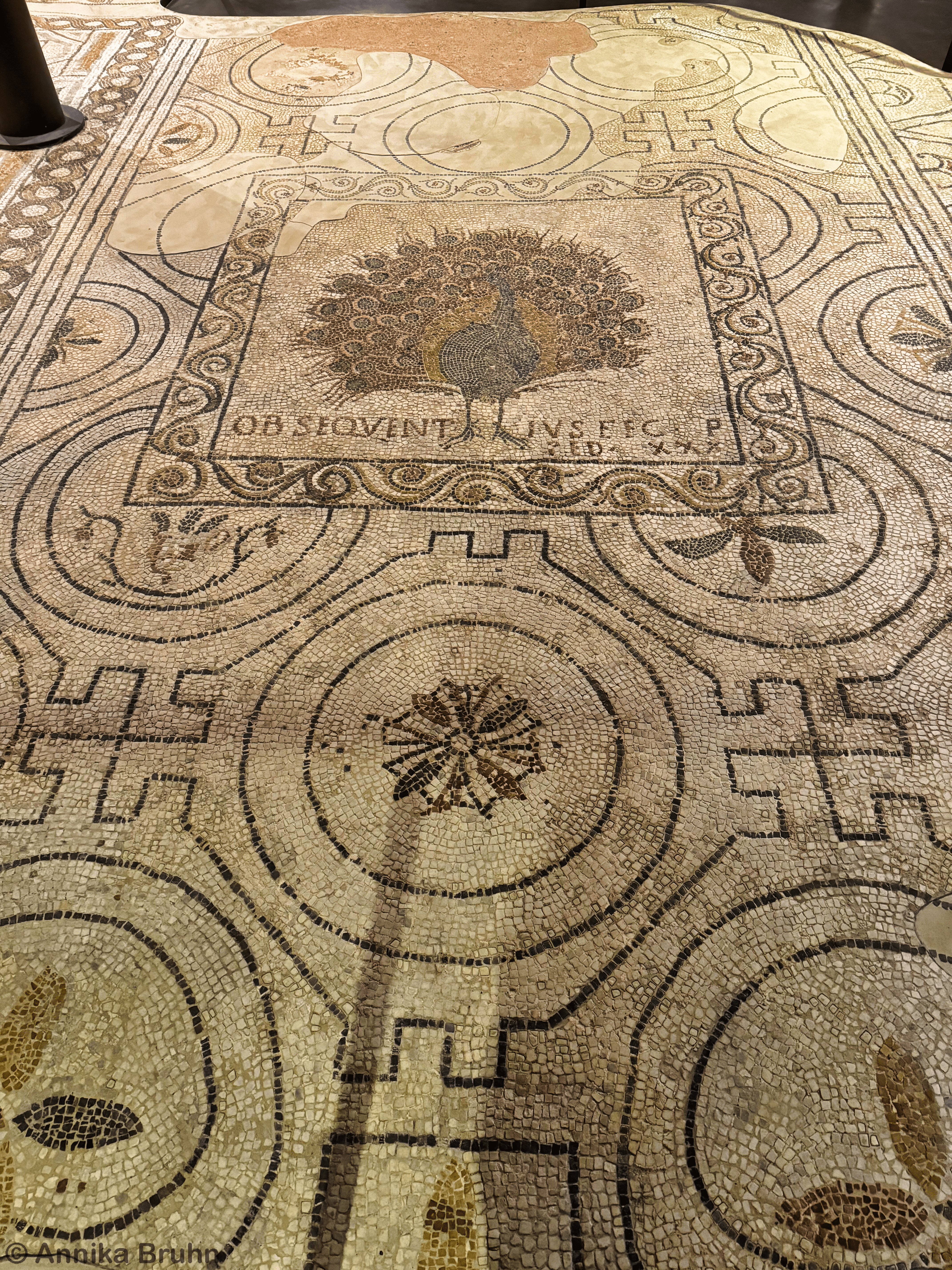 Mosaikboden in der Santa Reparata